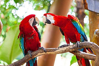 Q版美少女动作游戏《幻象破坏者：战场终极版》2月发售